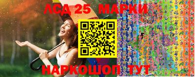 индика Кизляр