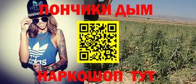 индика Кизляр
