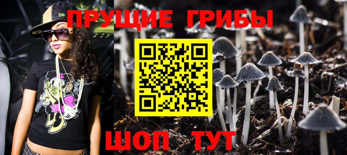 Добрянка  Галлюциногенные грибы Psilocybine cubensis  Вход с VPN 