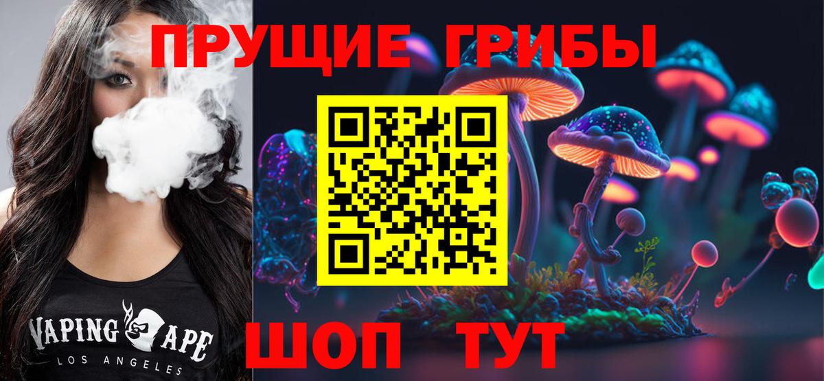 Галлюциногенные грибы Psilocybine cubensis Добрянка