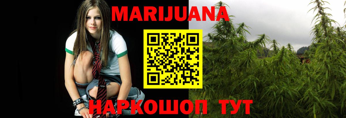 Каннабис планчик Добрянка